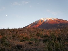 富士晩秋